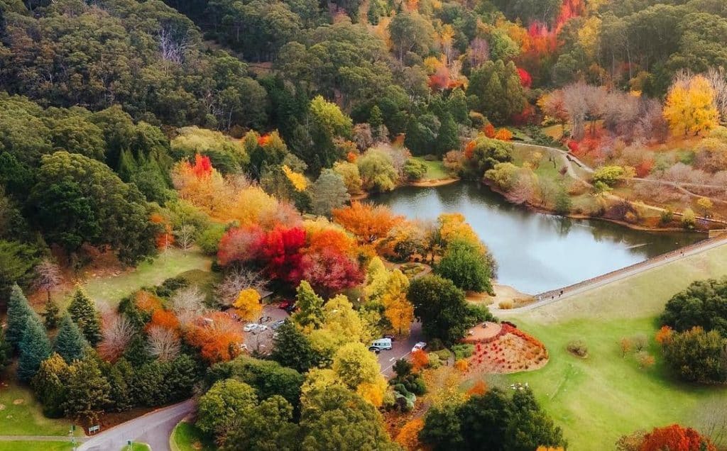 Aerial view of colourful autumn gardens and lake