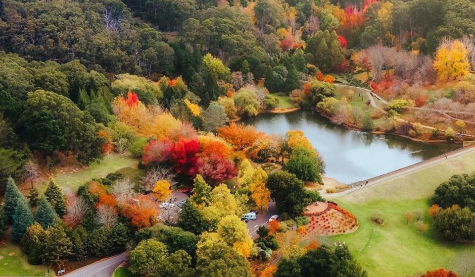 Some Of The Best Spots To Basks Amongst Autumn Colours In Adelaide