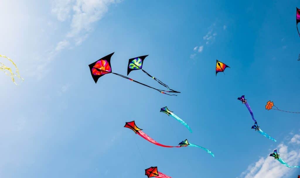 Set Sail For The Skies With Adelaide’s Brand New Kite Flying Festival