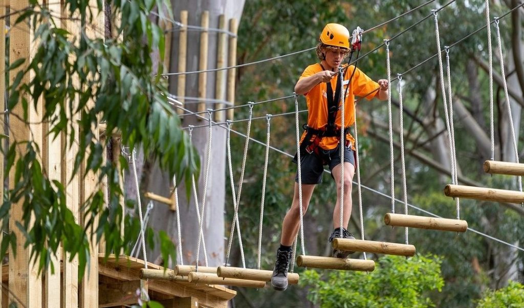 TreeClimb Kuitpo Forest Is Officially Open For All Your George Of The Jungle Needs