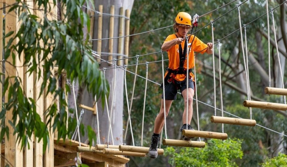 TreeClimb Kuitpo Forest Is Officially Open For All Your George Of The Jungle Needs