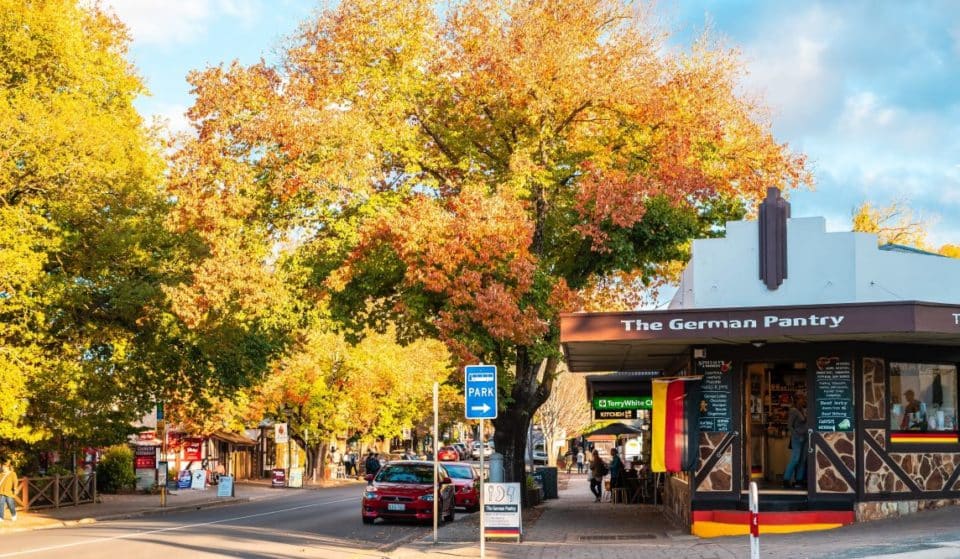 Your Ultimate Guide For The Best Things To Do In Hahndorf