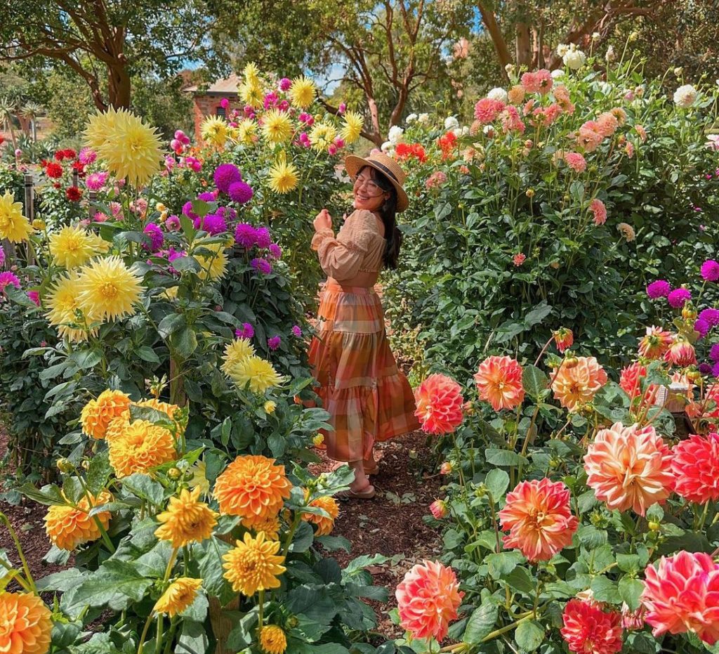 Person standing in the middle of a tall flower patch